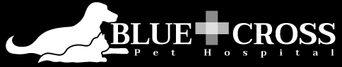 Full information about blue cross pet hospital in vancouver, british columbia, canada: Veterinarian In North Hollywood Ca Blue Cross Pet Hospital