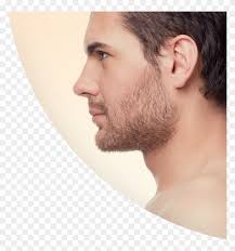 Face Proceedures Perfect Male Nose Side Profile Clipart 3466046 Pikpng perfect male nose side profile clipart