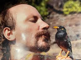 Will our love bird be able to fly again?