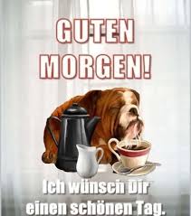 97 whatsapp bilder kostenlos herunterladen iwebprojectcom. Lustige Bilder Kostenlos Guten Morgen