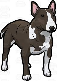 Black And White English Bull Terrier Puppy An Alerted Bull Terrier Bull Terrier Art Bull Terrier Cute Animal Drawings