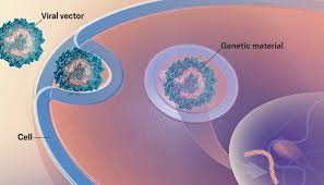 Image result for Dark Hunter Green 1999 AAV