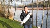Fish On Mark Keller Youtube