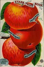 Stark bro's nursery & orchards company is based in louisiana, mo., and has extremely long roots. Stark Brothers Nurseries And Orchards Wikipedia