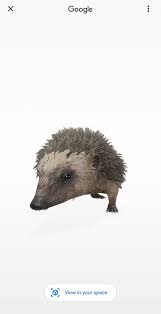 Google 3d Animals List 3d Animals Available On Google Search And How To Watch Them