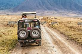 What is a Safari? Wildlife Safari in Africa | Budget Safaris