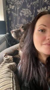 You can't actually see there is a spaniel to the right 😂