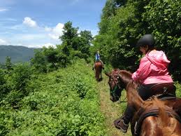 Horseback riding and camping at Green-Mesa-Ranch, which is located near  Gunnison, Colorado