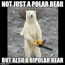 20 Funny Memes To Lighten Up Your Bipolar Friend Sayingimages Com Bear Meme Bear Polar Bear