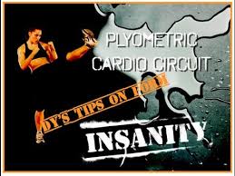 insanity plyometric cardio circuit day