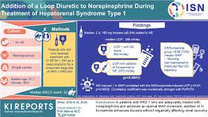 Image result for Loop Diuretic