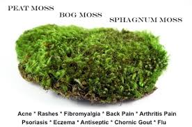 Image result for peat moss