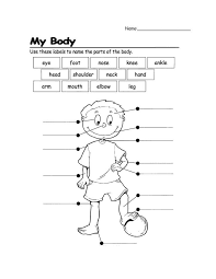 Check out the top 20 body parts esl games and activities, along with worksheets, lesson plans, human body vocabulary and more. Pin On Kindergarten Science