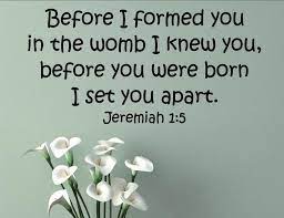 Before i formed you in the womb i knew you, before you were born i set you apart; Before I Formed You In The Womb I Knew You Before You Were Born I Set You Apart Contemporary Wall Decals By Vinylsay Llc Houzz