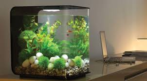 Barang bekas yg bisa digunakan untuk membuat aquarium yg indah Cara Membuat Aquarium