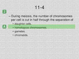 Section 11 wrestling rankings, section quiz 11 1 jacksonian democracy, section 11 a of in e tax act. Ppt Starter Question Powerpoint Presentation Free Download Id 6687465