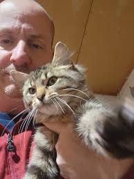 208 Lost and Found Pets