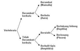 Demikian ulasan kali ini mengenai kunci determinasi mulai dari pengertian cara pembuatannya. Dalam Klasifikasi Makhluk Hidup Sering Digunakan Kunci Determinasi Sederhana Yang Disebut