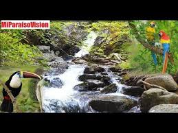 Musica Zen De Flauta Y Guzheng Musica De Relajacion Meditacion Yoga Stress Relief And Healing Music Yout Relaxing Music Relaxing Music Sleep Waterfall Sounds