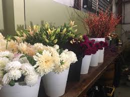 Pacific wholesale florist is located at 1805 e trent ave, spokane, wa. Episode 375 Flower Farming In Eastern Washington With Beth Mort Of Snapdragon Flower Farm Debra Prinzing