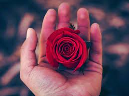 A love bomb refers to the form of emotional manipulation in which a person, often a narcissist, bombs you with an ott amount of affection, flattery, gifts, and praise early in the relationship in. The Signs You Ve Been A Victim Of Love Bombing