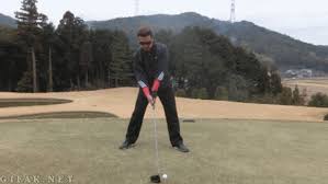 But despite the pedestrian putting performance, woods insists that the problem is not with his equipment, but rather with his feel. These Gifs Will Make Even The Grumpiest Golfer Laugh Bunkered Co Uk