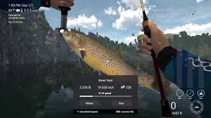 Choose your lures, make your trophy catches, discover new possibilities and sharpen your real angling skills anywhere, anytime with your friends! Fishing Planet Guide Fast And Easy Brown Trout For Money And Xp Youtube