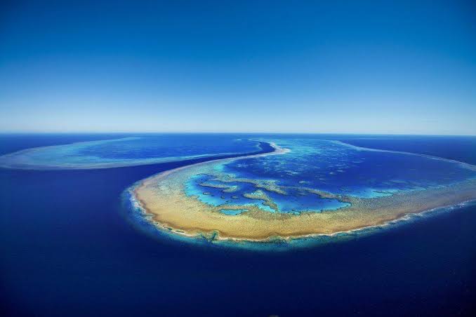 Aerial view of coral formations in the Great Barrier Reef
