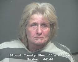 Locklear, Misty Leigh Mugshot