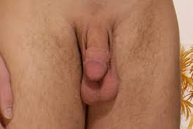 Beschnitten Vs Unbeschnitten Die Neue Penis Galerie Bravo
