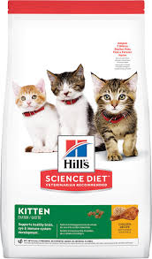 Hills Science Diet Kitten Healthy Development Chicken Recipe Dry Cat Food 3 5 Lb Bag