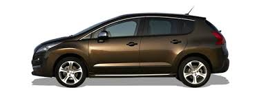 Image result for Brown Squirrel 2014 Peugeot