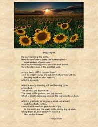 Messenger By Mary Oliver Mary Oliver Mary Oliver Poems Poetry Ideas