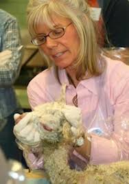 alpaca farm, alpaca for sale, alpaca breeding, alpaca clothing, alpaca  clothing, alpaca information