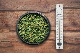 You wanna know what the best vape temp is? Guide To The Best Temperature For Vaping Weed