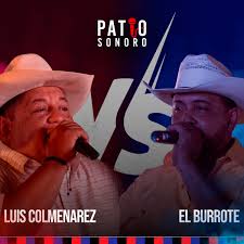 Vaya Que Lo Lamba Un Sapo