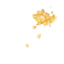 Wild The Yellow Flower Petals Troye Sivan By Carouseli