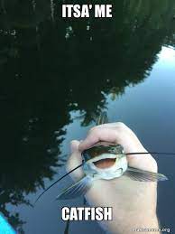 Mario Catfish Funny Fishing Memes Fishing Memes Fishing Jokes