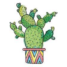 Hand Drawn Watercolor Multiple Cactus Png Kaktus