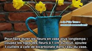 Faire Durer Les Fleurs En Vase Plus Longtemps Avec Du Bicarbonate Fleurs Vase Astuces