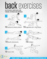 Pin On Physiotherapy And Rehabilitation