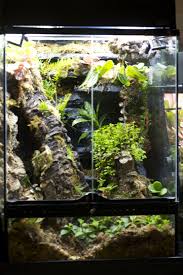 Pin On Vivarium Ideas