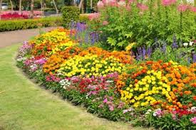 Common Garden Flowers Check This Out By Going To The Link At The Image Flower Bed Designs Flowers Perennials Garden Flowers Perennials