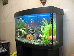 Langkah terakhir untuk mendekorasi aquarium cantik tanpa harus mengeluarkan biaya mahal adalah dengan mencetak latar belakang sebagai hiasan aquarium milikmu. 75 Idea Reka Bentuk Akuarium Asal Dengan Gambar
