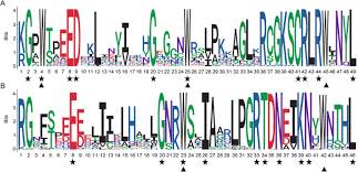 Fpb (24,60) = 24 × 60 = 12. Genome Wide Analysis Of Myb Transcription Factors Of Vaccinium Corymbosum And Their Positive Responses To Drought Stress Bmc Genomics Full Text