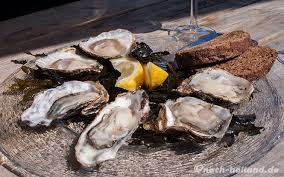 Austern Und Lammerohren Eine Radtour In Zeeland Teil 1 Austern Radtour Kulinarisch