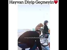 Hayvan Diyip Gecmeyin Kalbinesaklabeni Youtube Instagram Try Again
