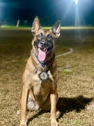 Mahogany Gamble (@mahoganymig) • Instagram photos and videos