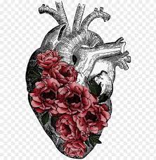 We did not find results for: Replace Veins With Tree Roots Anatomy Art Heart Anatomy Human Heart Flowers Drawing Transparent Png Image With Transparent Background Toppng