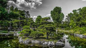 Einfach, sicher, günstig und fair. Japanischer Garten Dusseldorf Nordpark Aquazoo Epic Cinematic Vlog Dji Osmo Action Waterfalls Youtube